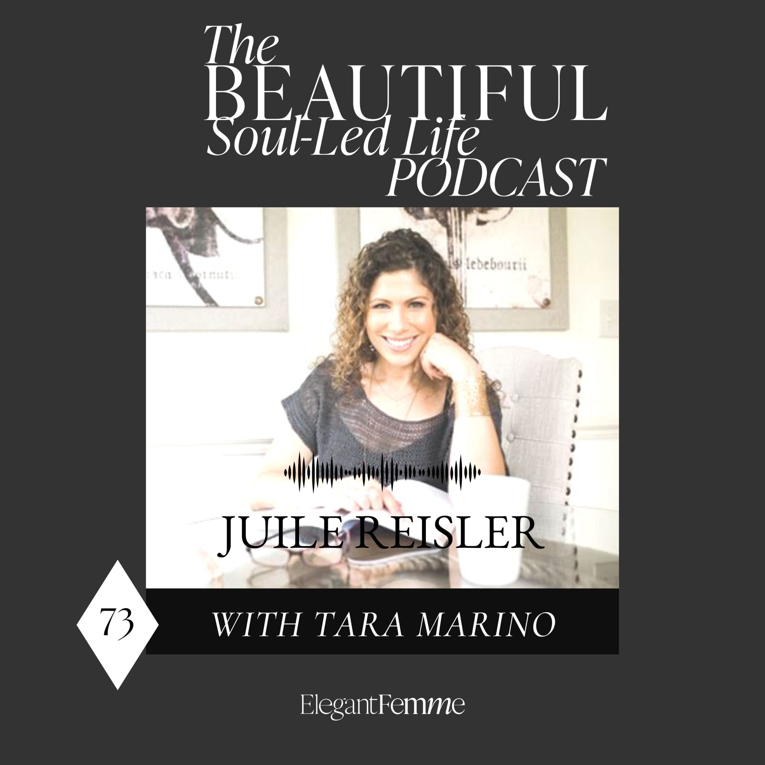 Julie Ridler Ohio Episode 73: Finding Your “You-est You” with Julie Reisler - Elegant Femme